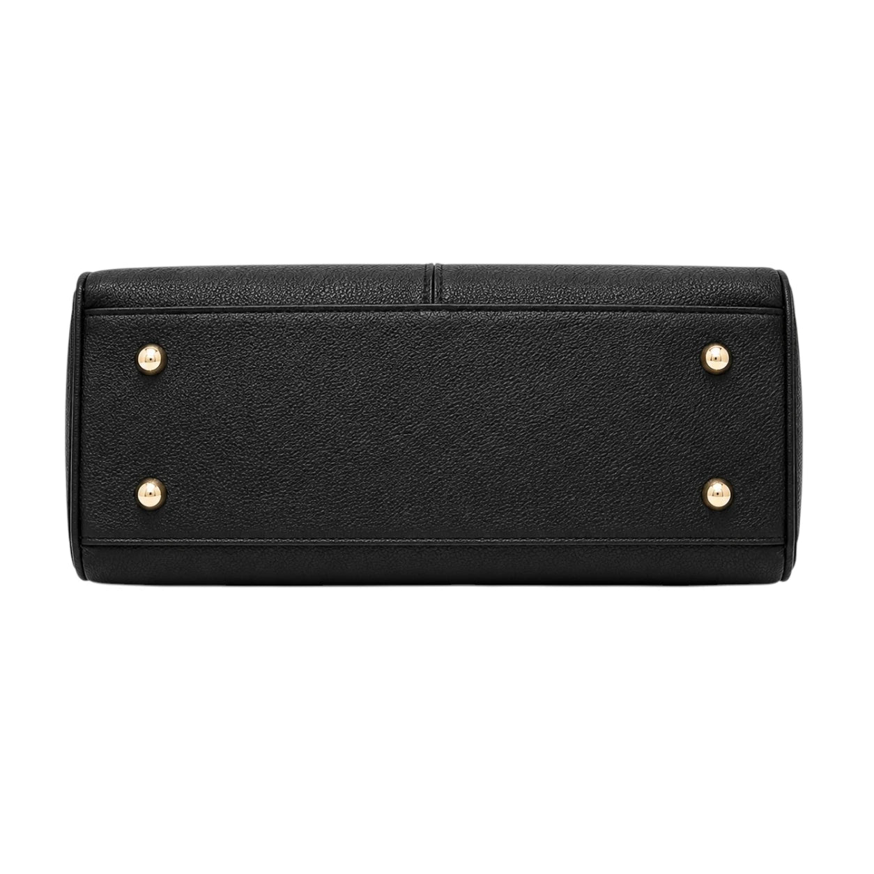 Rialy Black Leather Handbag With Gold Hardware Accents